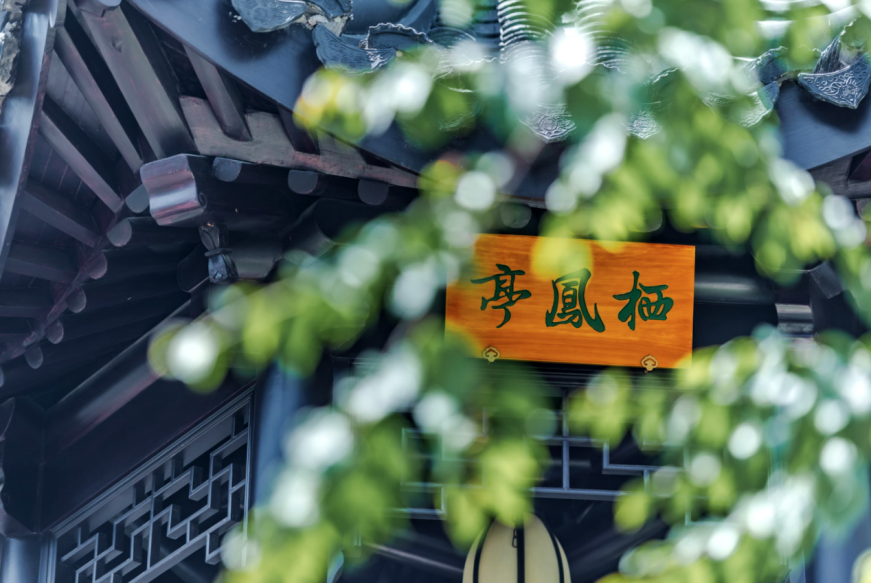 图片11.png