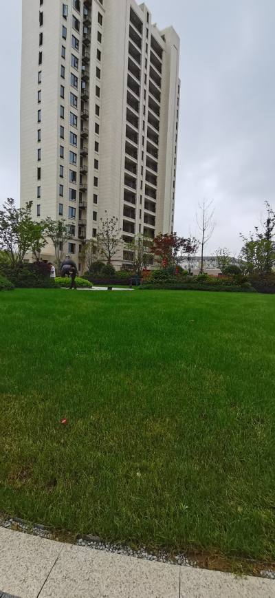 观澜苑特价房高层108平急售165万视野开阔近海洋公园渔人码头